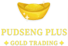 Pudseng Plus